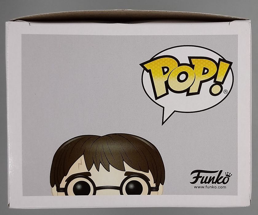 #79 Harry Potter (Broken Arm) - Harry Potter - Box Damaged Funko POP