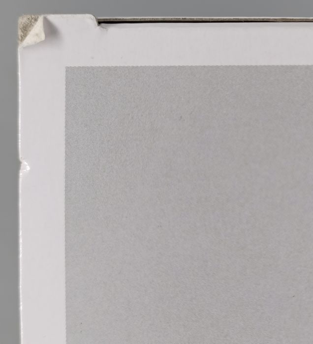 #20 Ultimate Warrior - WWE - Box Damaged Funko POP